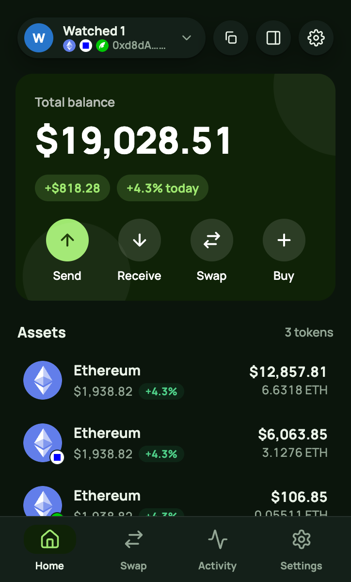 Portfolio view across multiple chains